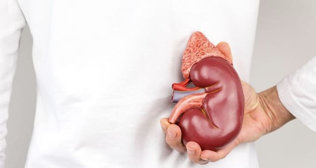 Clínica de Trasplante Renal